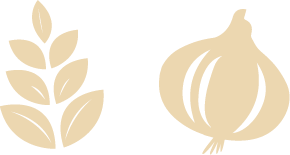 gluten-allium